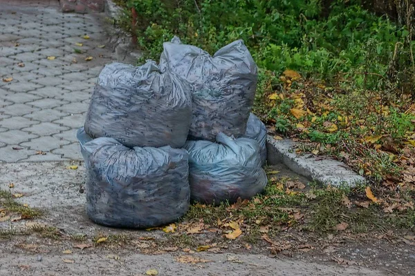 a pile of plastic bags with rubbish in the fallen leaves near the road