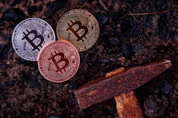 kara toprak ve bir çekiç üzerinde bitcoin üç sikke