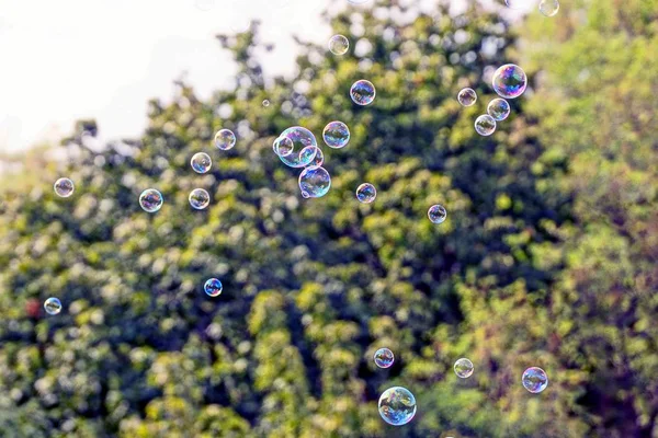 Color Soap Bubbles Fly Air Background Green Trees — Stock Photo, Image