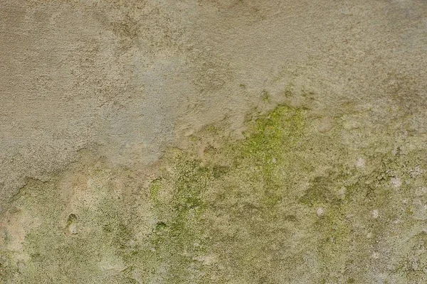 Зелено Сіра Кам Яна Текстура Бетонної Стіни — стокове фото