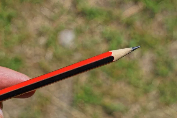 Ręka Trzyma Długi Czerwony Czarny Drewniany Ołówek — Zdjęcie stockowe
