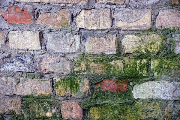 Vecchio Muro Mattoni Muschio — Foto Stock