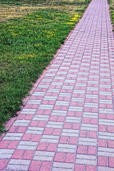 Alley of sidewalk tiles along a green lawn