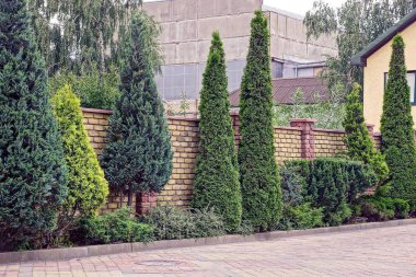 Yeşil kozalaklı ağaçlar ve bitki örtüsü ile Tuğla çit