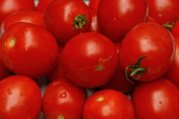 Fundo Vermelho Tomates Redondos Vermelhos Maduros — Fotografia de Stock