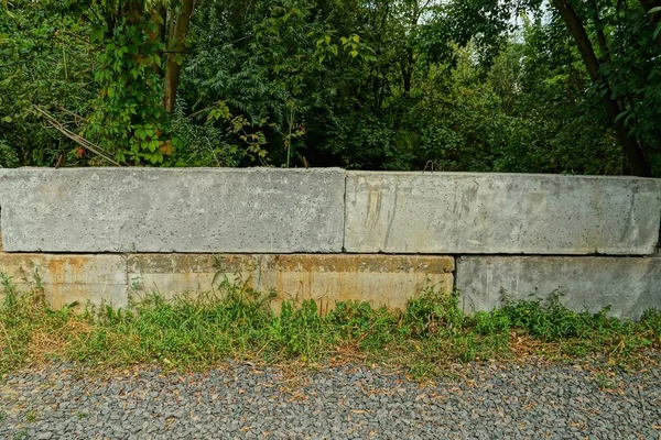 Sokakta Yeşil Çim Bitki Örtüsü Gri Beton Blokların Çit — Stok fotoğraf