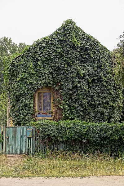 Приватний Сільський Будинок Вирощений Зеленою Рослинністю — стокове фото