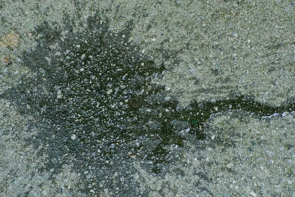 Ein Großer Nasser Fleck Wasser Auf Dem Grauen Asphalt — Stockfoto