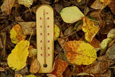 Kuru düşmüş sonbahar yaprakları üzerinde ahşap bir termometre