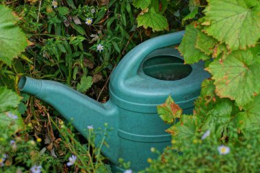 yeşil çim ve bitki örtüsü arasında su ile büyük bir plastik sulama olabilir