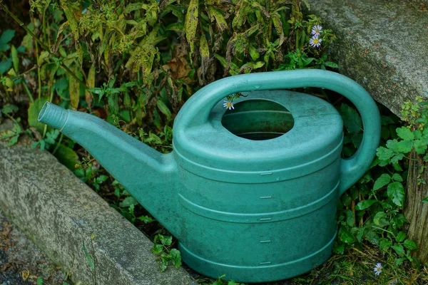 Grande Lata Rega Plástico Com Água Entre Grama Verde Vegetação — Fotografia de Stock