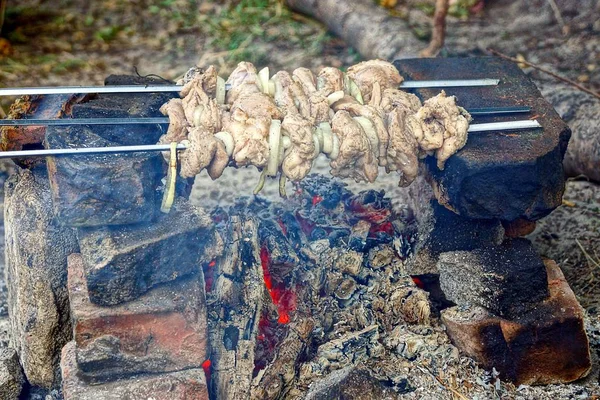 Pedaços Fritos Carne Espetos Sobre Calor Fogo Sobre Pedras — Fotografia de Stock