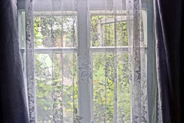 The window in the room is covered with a transparent curtain