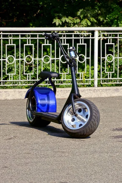 Electric Scooter Wide Wheels Stands Asphalt Park — Stock Photo, Image