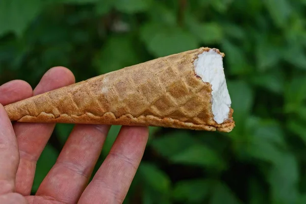 Mão Segura Sorvete Branco Uma Xícara Waffle Fundo Verde — Fotografia de Stock