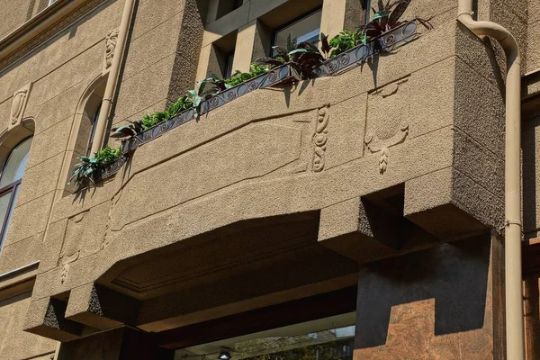 Jeden Betonowy Brązowy Balkon Zieloną Roślinnością Ścianie Oknami — Zdjęcie stockowe