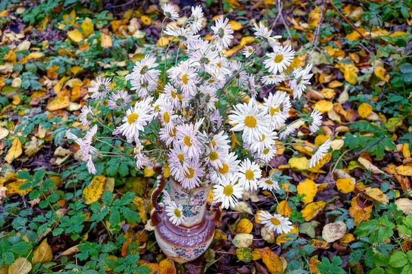 A bouquet of white daisies in a vase on a background of yellow leaves and green vegetation