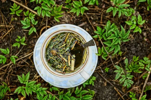 Bitkiler Arasında Yerde Bir Fincan Tabak Çay — Stok fotoğraf