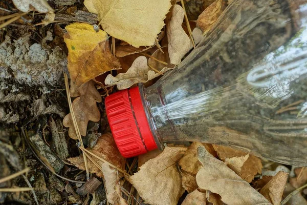 Сміття Прозорої Пластикової Пляшки Червоною Пробкою Лежить Сухому Листі — стокове фото