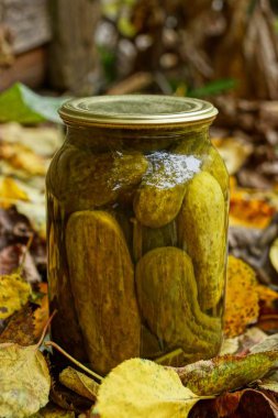 Sarı düşmüş yaprakları konserve salatalık ile Cam kavanoz