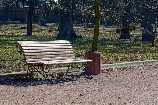 Barna Padon Egy Urna Állnak Egy Sikátorban Parkban Között Zöld — Stock Fotó