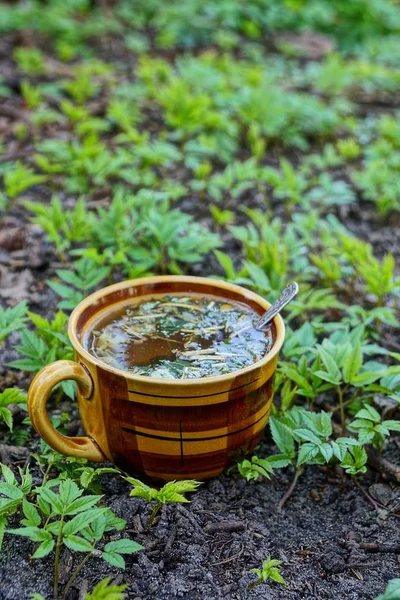 Чашка Чая Стоящая Среди Зеленой Растительности — стоковое фото