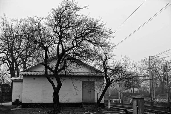 Facade of a private building and a black tree