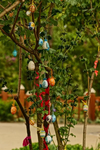 Colored eggs on the branches of a tree in the garden