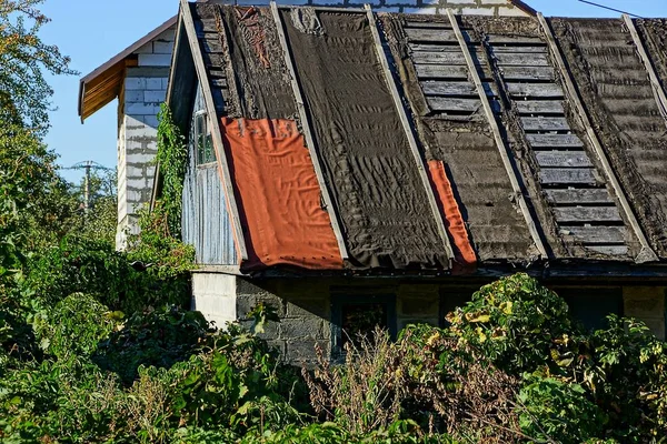 Šedá Stará Dřevěná Zkažená Střecha Zarostlá Zelenou Vegetací — Stock fotografie