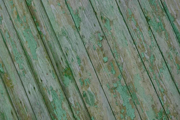 Grå Grön Trä Textur Från Våta Staket Styrelser — Stockfoto
