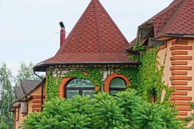 bir kule ve pencereler yeşil bitki örtüsü ile büyümüş kahverengi bir evin parçası