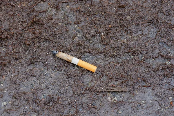 Egy Cigaretta Csikk Egy Barna Szűrővel Fekszik Szürke Homok — Stock Fotó