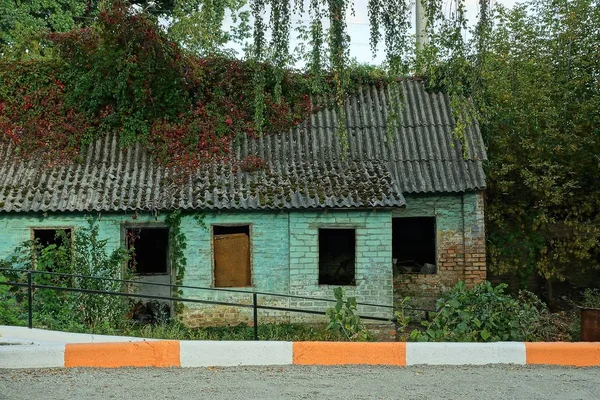 Starý Zničený Cihlový Domek Šedou Břidlicovou Střechou Zarostlý Zelenou Vegetací — Stock fotografie