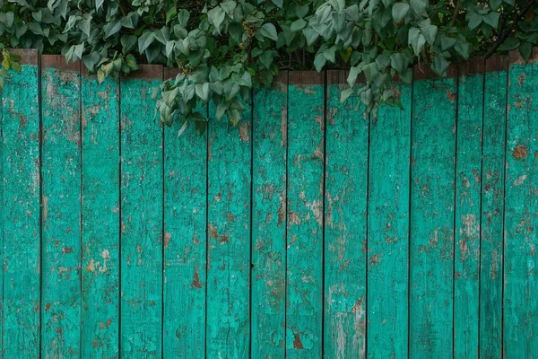 Zöld Kerítéslapok Textúrája Ágakkal Levelekkel — Stock Fotó