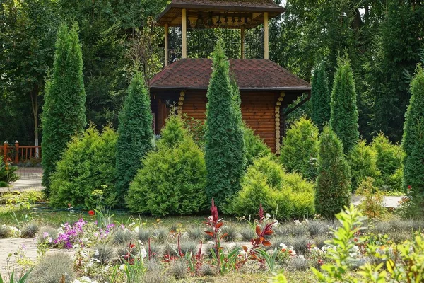 Coníferas Decorativas Verdes Arbustos Grama Parque — Fotografia de Stock