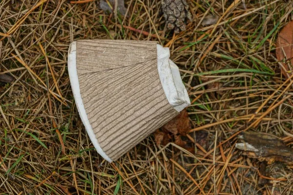 Śmieci Jednego Brązowego Kubka Leży Suchej Trawie Piasku — Zdjęcie stockowe