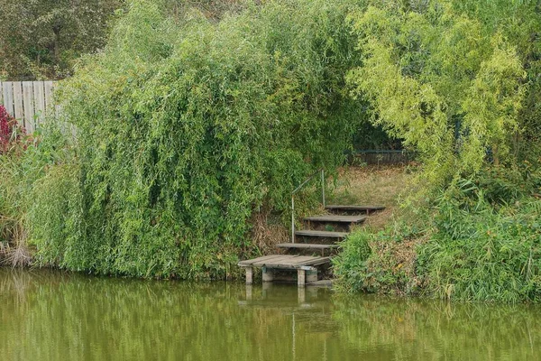 Pont Bois Dans Végétation Verte Sur Rivage Dans Eau Lac — Photo