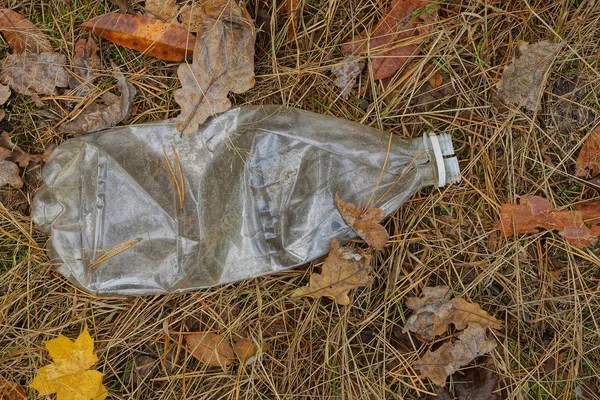 Lixo Uma Garrafa Plástico Cinza Agulhas Secas Floresta — Fotografia de Stock