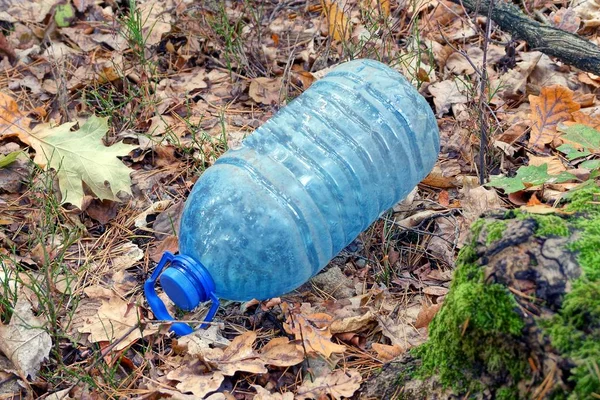 Basura Una Botella Plástico Azul Agujas Secas Bosque —  Fotos de Stock