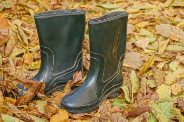 İki büyük yeşil lastik bot doğada kurumuş yaprakların üzerinde duruyor.