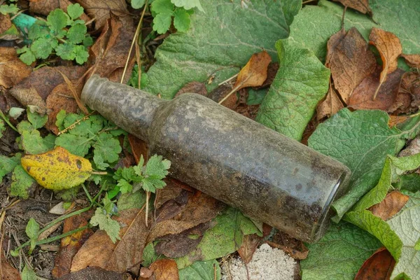 灰色の汚れたガラス瓶から出るゴミは自然の緑の葉の上にあり — ストック写真