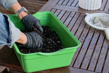 Eldivenli eller, gübreyle kara toprağı kahverengi ahşap bir masada yeşil bir hamur kutusunda karıştırır.
