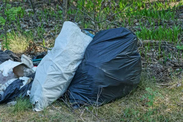 Dwie Pełne Torby Śmietnika Zielonej Trawie Przyrodzie — Zdjęcie stockowe