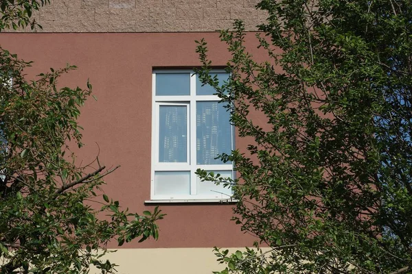 Одно Белое Окно Коричневой Стене Здания Фоне Ветвей Зелеными Листьями — стоковое фото