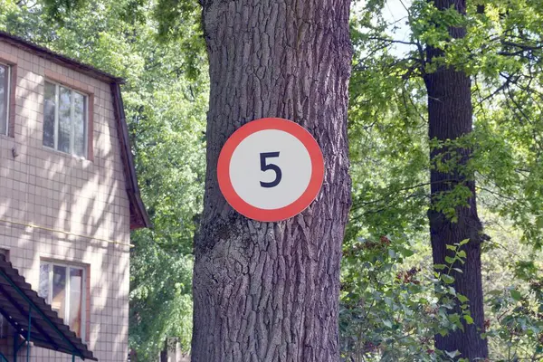 One Road Sign Speed Limit Hanging Gray Tree Street Park — 스톡 사진