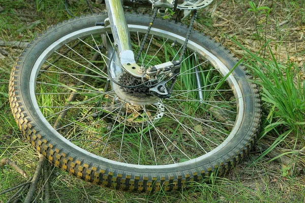 公園内の芝生に縁と編み針が付いた灰色の自転車用ホイールの一部です — ストック写真