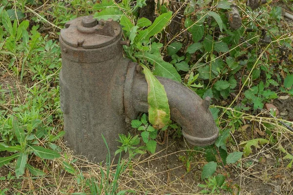 Starý Hnědý Železný Kohoutek Pro Přívod Vody Ulici Zarostlý Zelenou — Stock fotografie