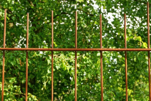 街道上的铁栅栏的一部分 铁栅栏是由红色生锈的铁棍和绿色的植被构成的 — 图库照片