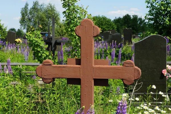 Jeden Brązowy Drewniany Krzyż Grobie Zielonej Roślinności Kwiaty Cmentarzu — Zdjęcie stockowe