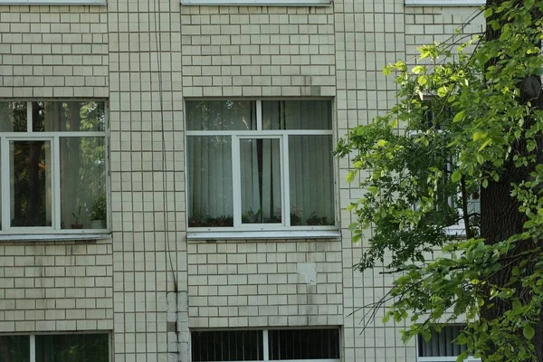 Caddedeki gri tuğlalı bir evin beyaz kare pencereleri.